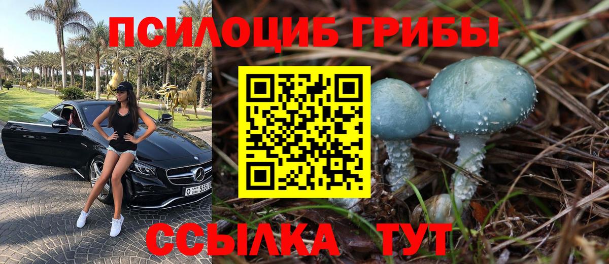 Галлюциногенные грибы мухоморы Рославль