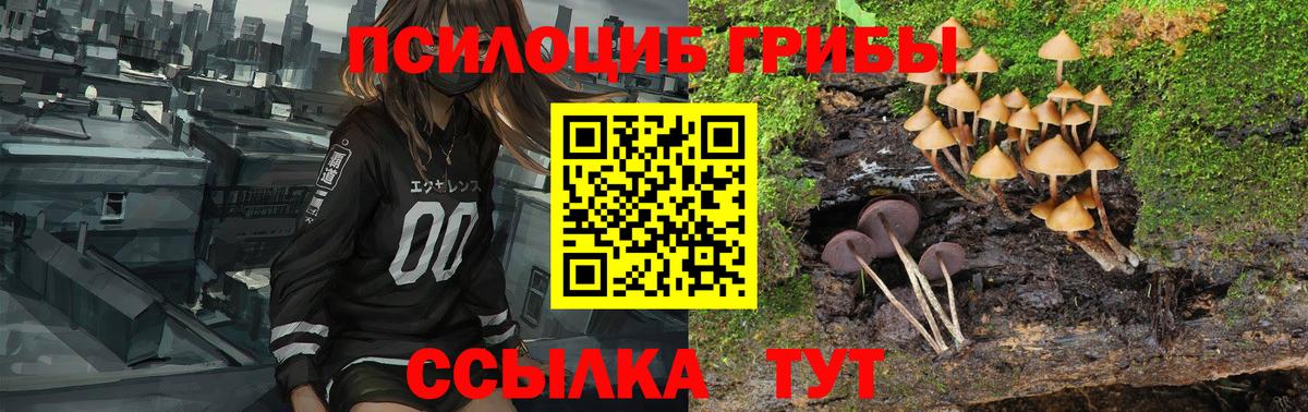 Псилоцибиновые грибы MAGIC MUSHROOMS  Вход с VPN  Рославль  Галлюциногенные грибы прущие грибы 