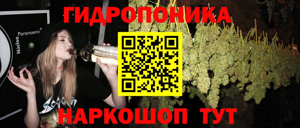 Каннабис индика Рославль